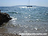 Makarska cvitacka beach